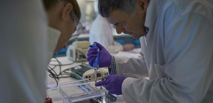 Lab environment - two males carrying out an experiment